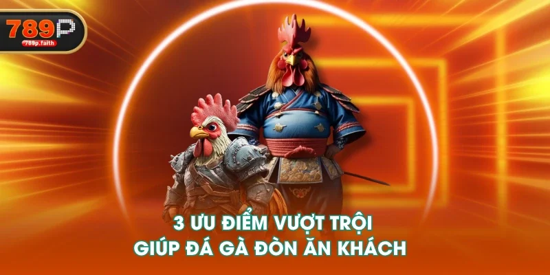 3 ưu điểm vượt trội giúp đá gà đòn ăn khách